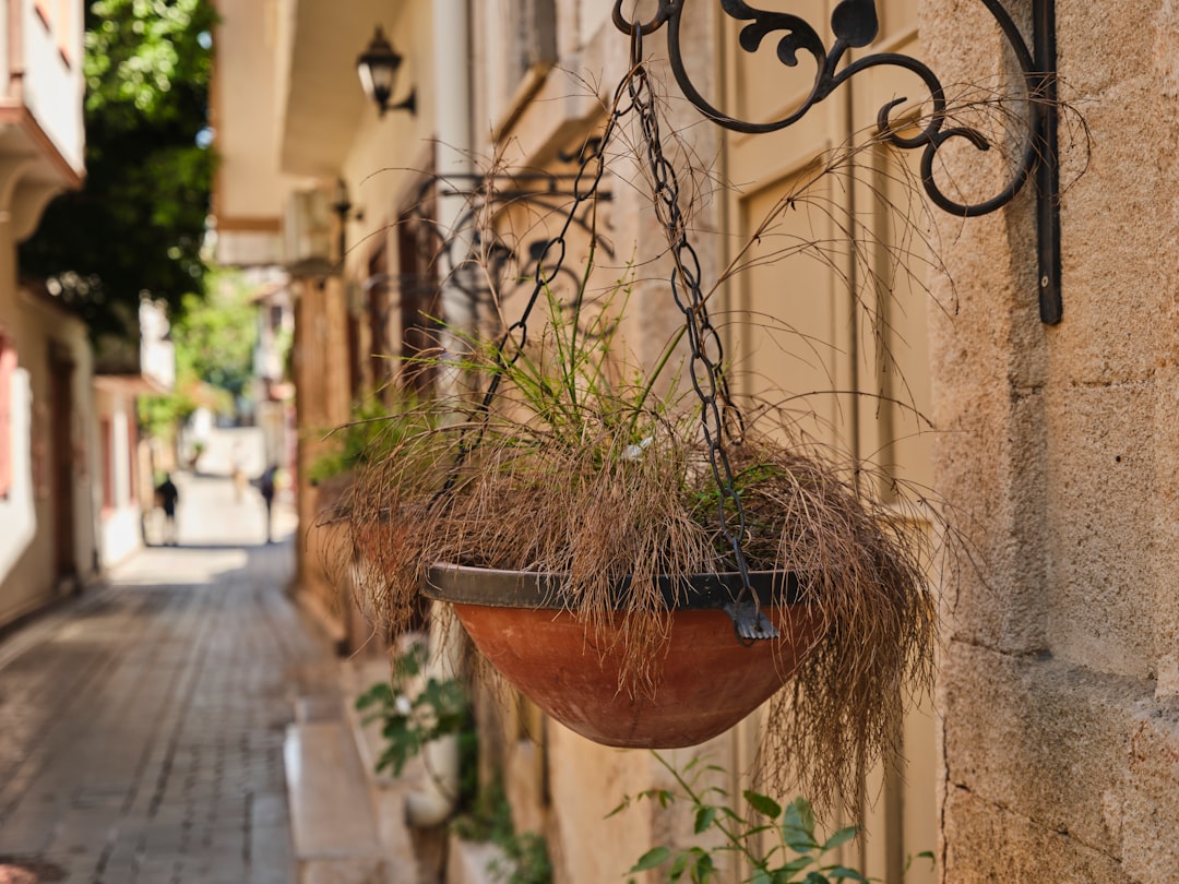 Beautiful hanging flower pot